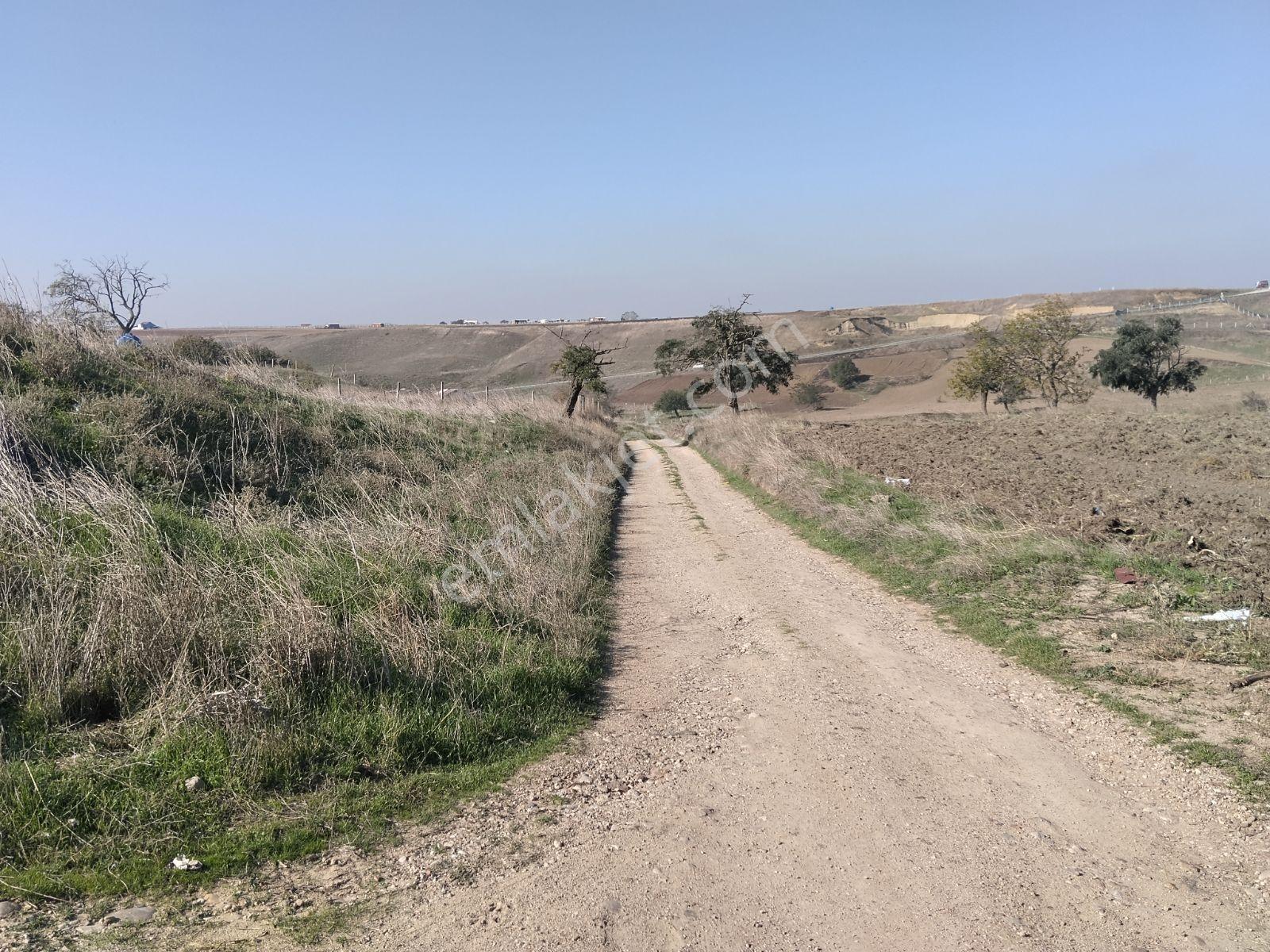 Silivri Değirmenköy'de Acil Satılık Tek Tapu 604 Metre Etrafı Çe — fotoğraf 13