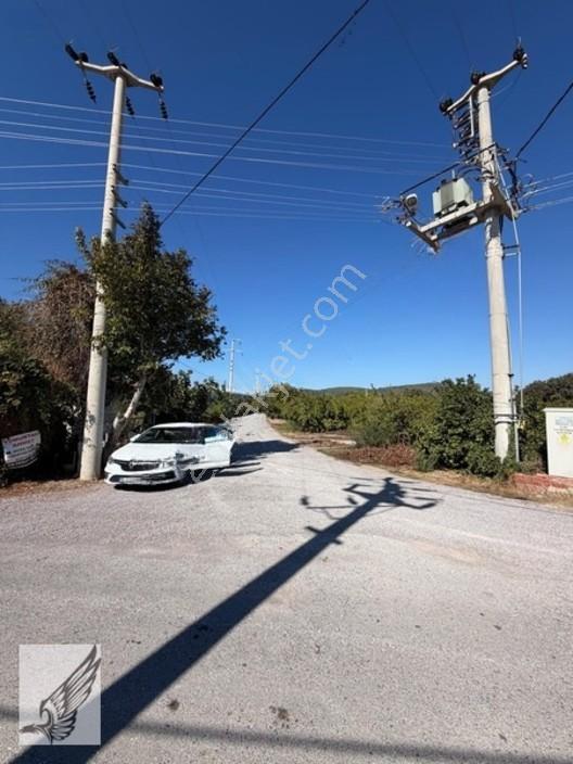 Seferihisar Düzce Azmak Yoluna Cepheli Mandalin Bahçesi 14,497m² — fotoğraf 2