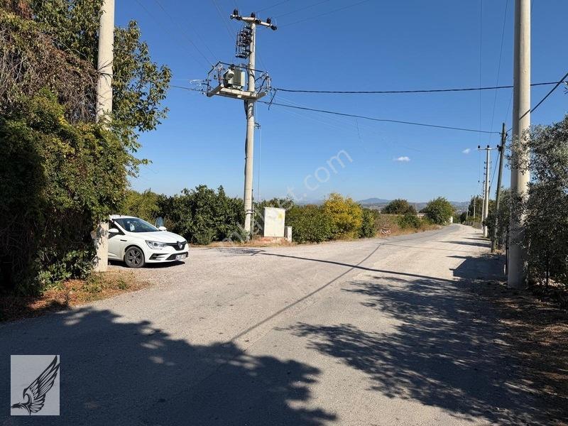 Seferihisar Düzce Azmak Yoluna Cepheli Mandalin Bahçesi 14,497m² — fotoğraf 3