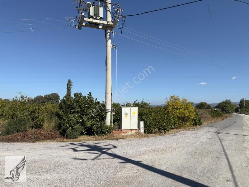 Seferihisar Düzce Azmak Yoluna Cepheli Mandalin Bahçesi 14,497m² — fotoğraf 6