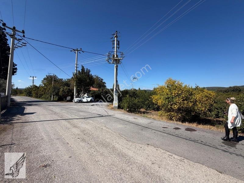 Seferihisar Düzce Azmak Yoluna Cepheli Mandalin Bahçesi 14,497m² — fotoğraf 9