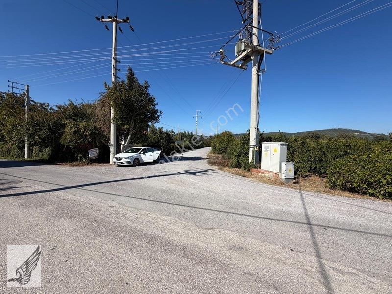 Seferihisar Düzce Azmak Yoluna Cepheli Mandalin Bahçesi 14,497m² — fotoğraf 10