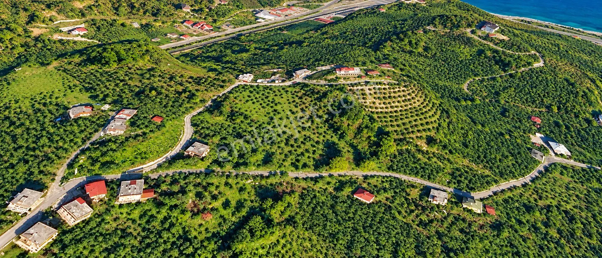 Premar White Gayrimenkullden Çavuşluda 12.5 Dönüm Arazi — fotoğraf 2
