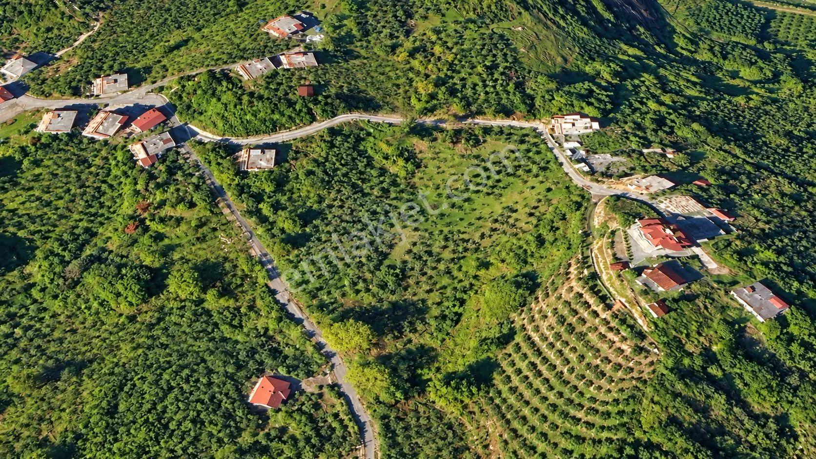 Premar White Gayrimenkullden Çavuşluda 12.5 Dönüm Arazi — fotoğraf 3