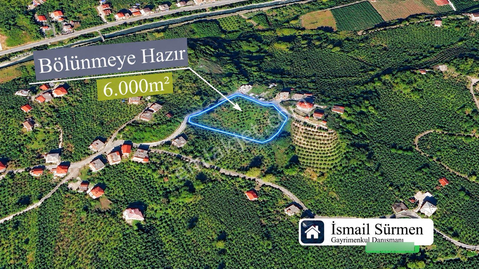 Premar White Gayrimenkullden Çavuşluda 12.5 Dönüm Arazi — fotoğraf 6