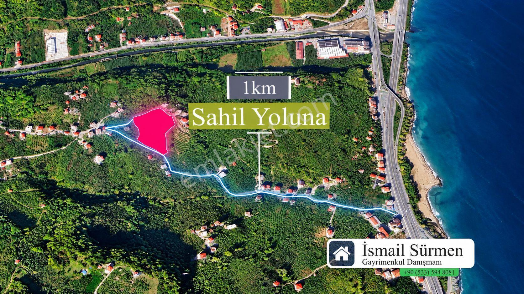 Premar White Gayrimenkullden Çavuşluda 12.5 Dönüm Arazi — fotoğraf 7