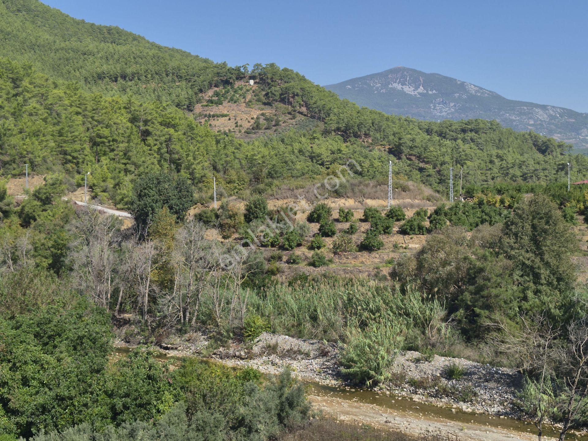 Alanya Demirtaş Beyreli Mahallesi Satılık Tarla — fotoğraf 7