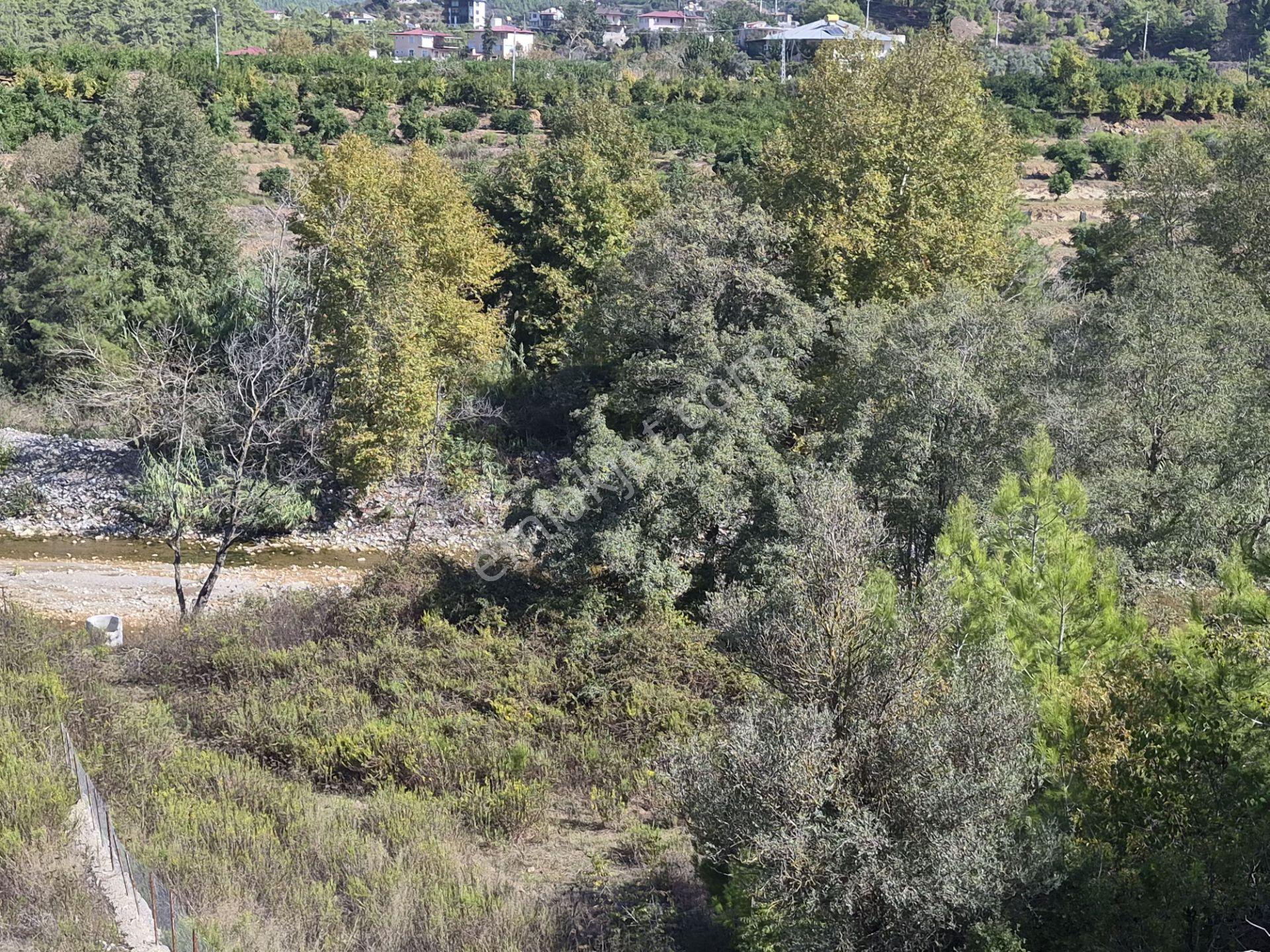 Alanya Demirtaş Beyreli Mahallesi Satılık Tarla — fotoğraf 8
