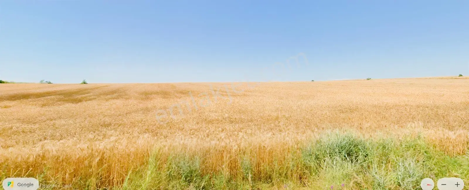 Edirne Havza Azatlı Kadasral Yola Sahip Tek Tapu Satılık Tarla