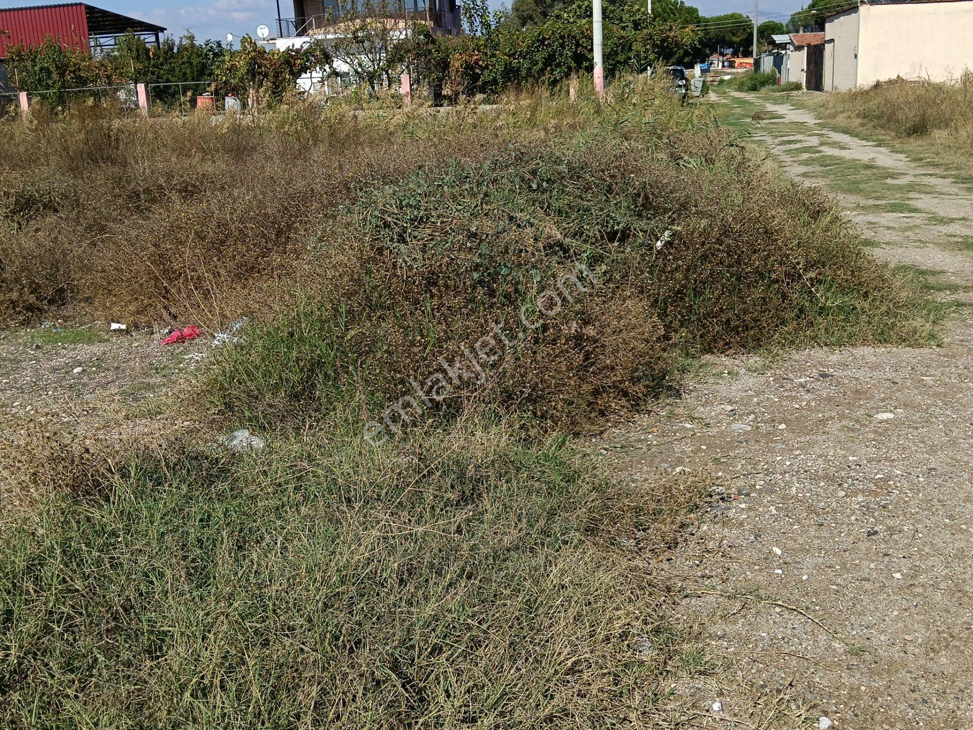Satılık Arsa Yaşar Emlâk Tan — fotoğraf 5