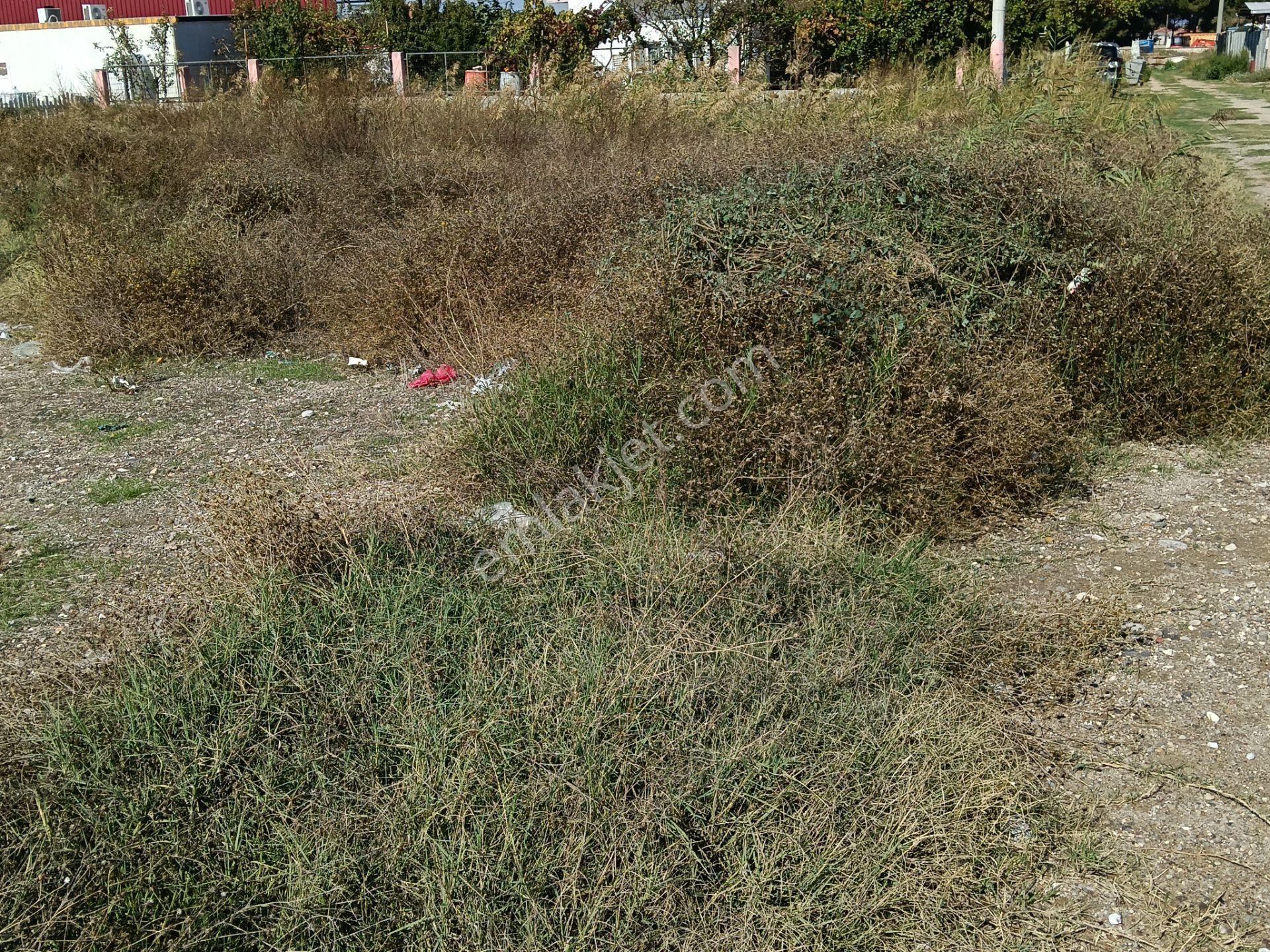 Satılık Arsa Yaşar Emlâk Tan — fotoğraf 6