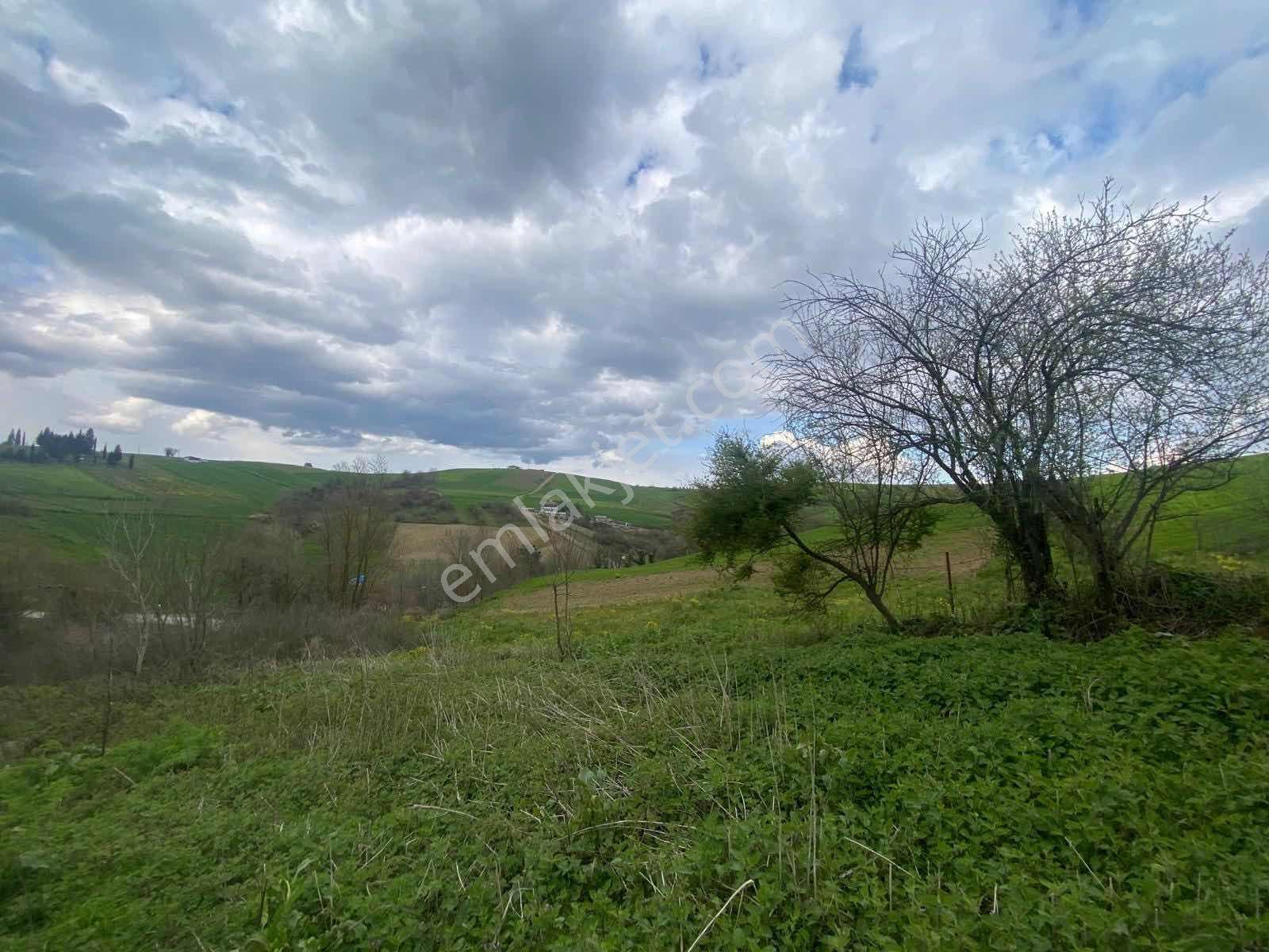 Kocaeli Derincede Satılık Arsa — fotoğraf 3
