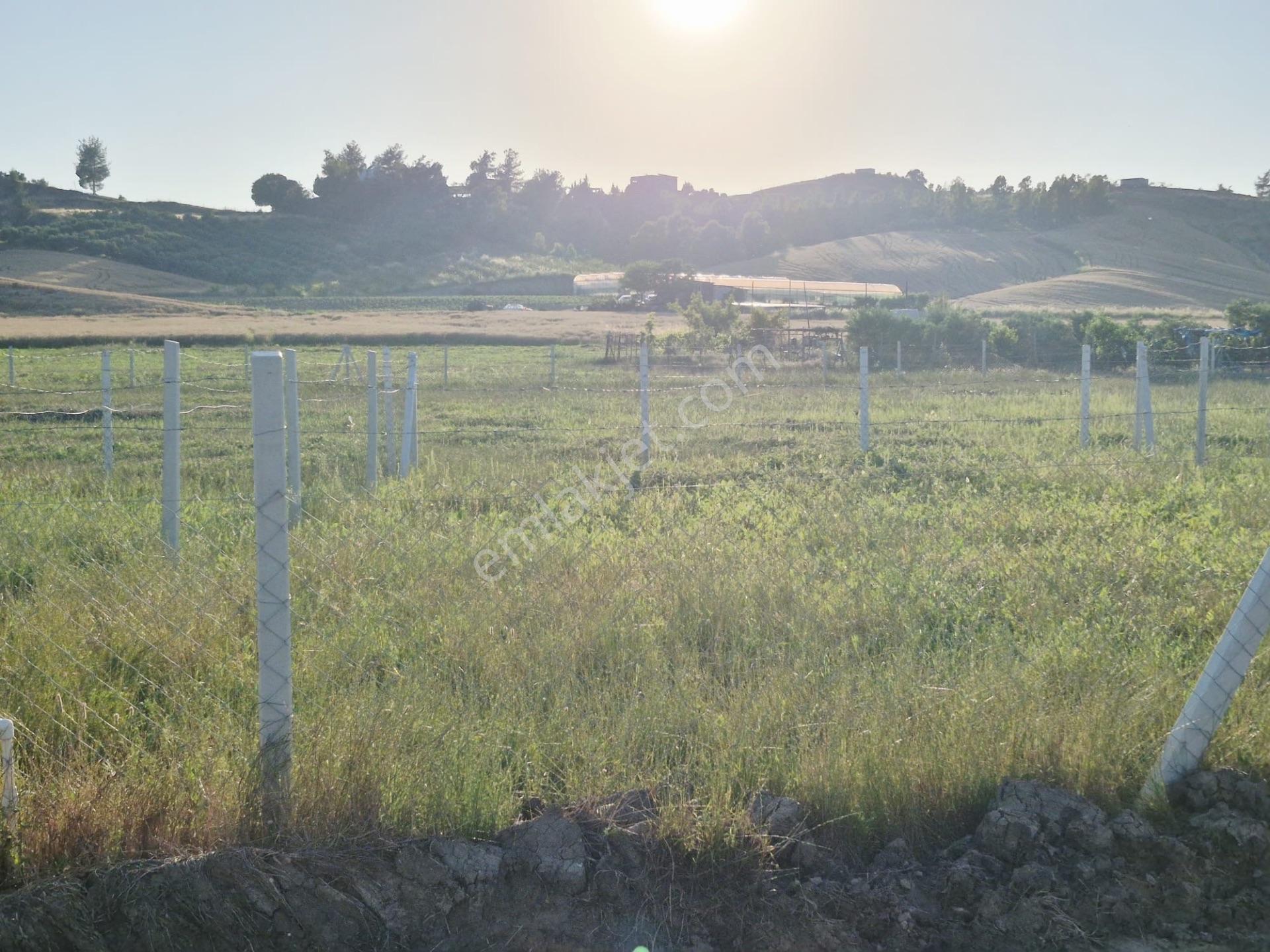Salbaş Kuzgunda Etrafı Çevrili Sıyu İçinde 190 M2 Arsa Cazip Fiyat Yatırımlık — fotoğraf 4