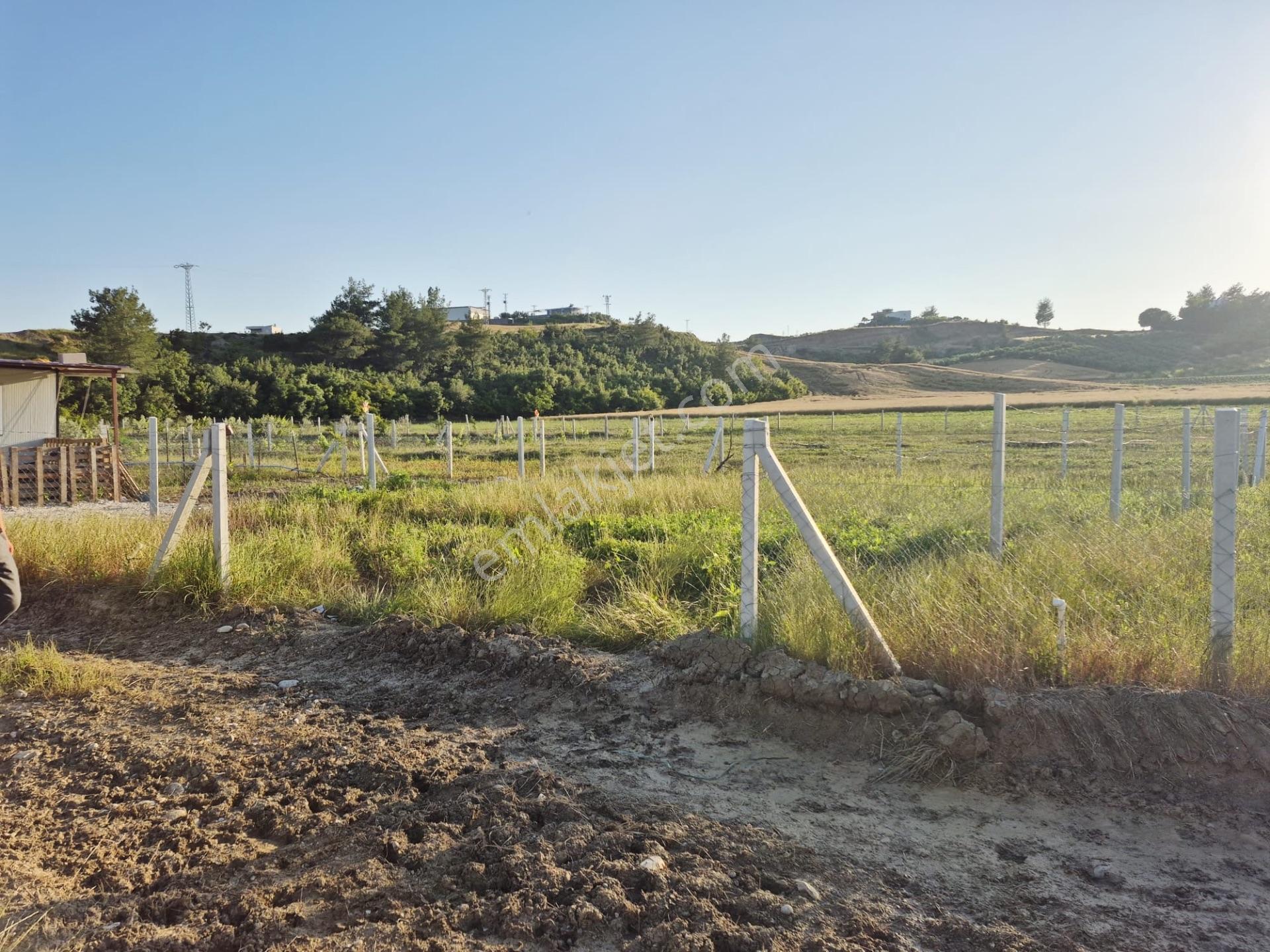 Salbaş Kuzgunda Etrafı Çevrili Sıyu İçinde 190 M2 Arsa Cazip Fiyat Yatırımlık — fotoğraf 11