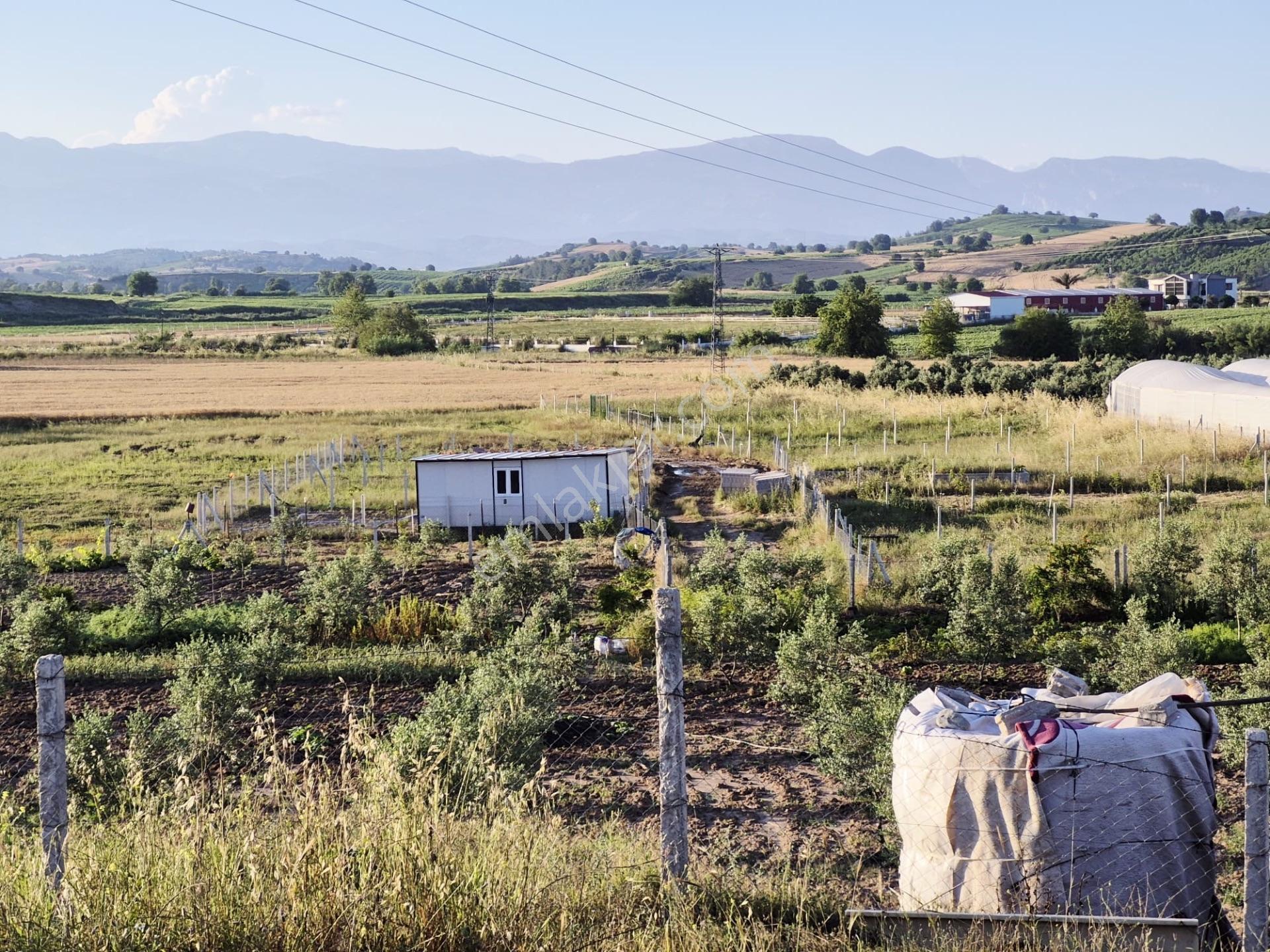 Salbaş Kuzgunda Etrafı Çevrili Sıyu İçinde 190 M2 Arsa Cazip Fiyat Yatırımlık — fotoğraf 24