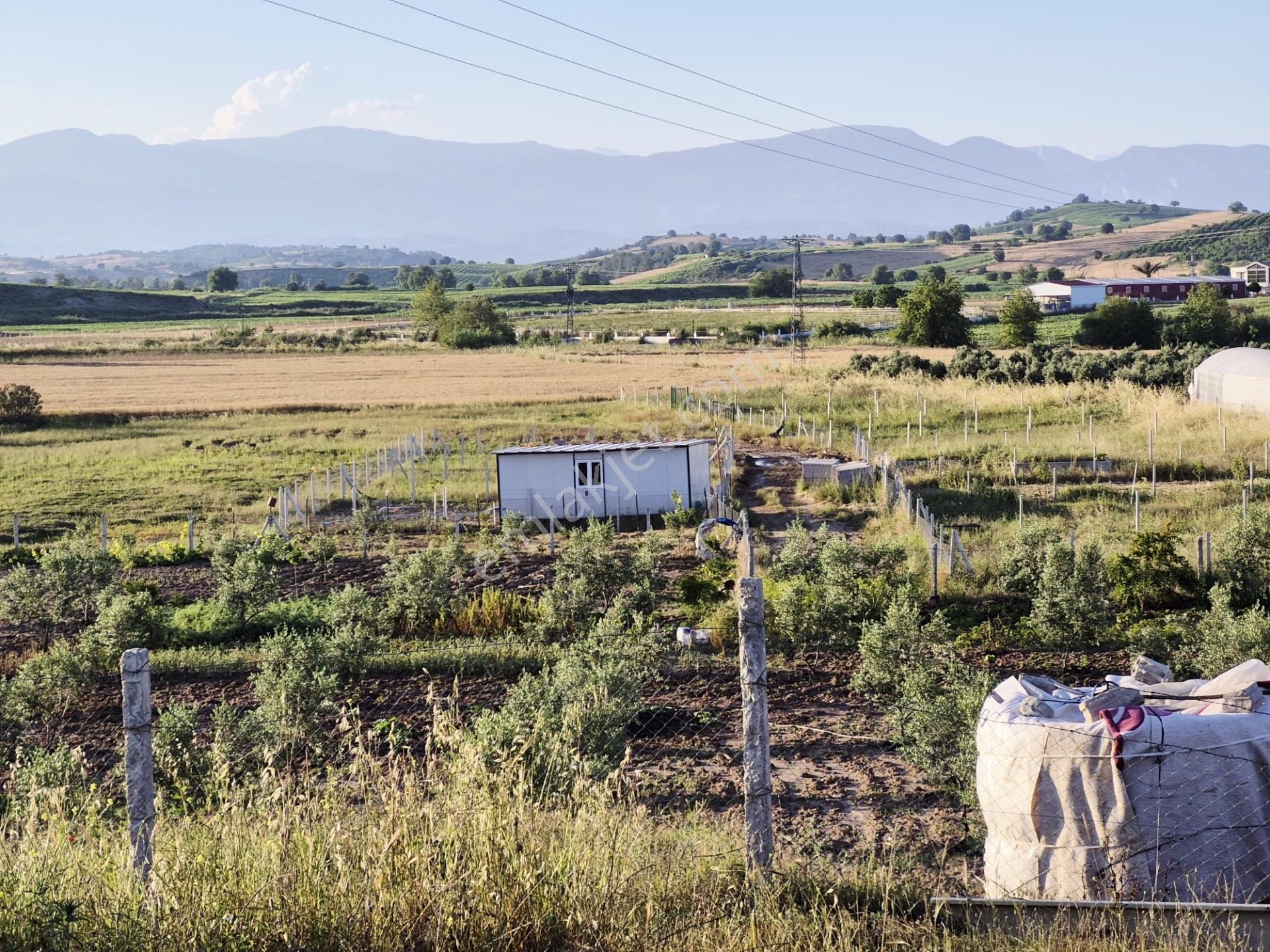 Salbaş Kuzgunda Etrafı Çevrili Sıyu İçinde 190 M2 Arsa Cazip Fiyat Yatırımlık — fotoğraf 25