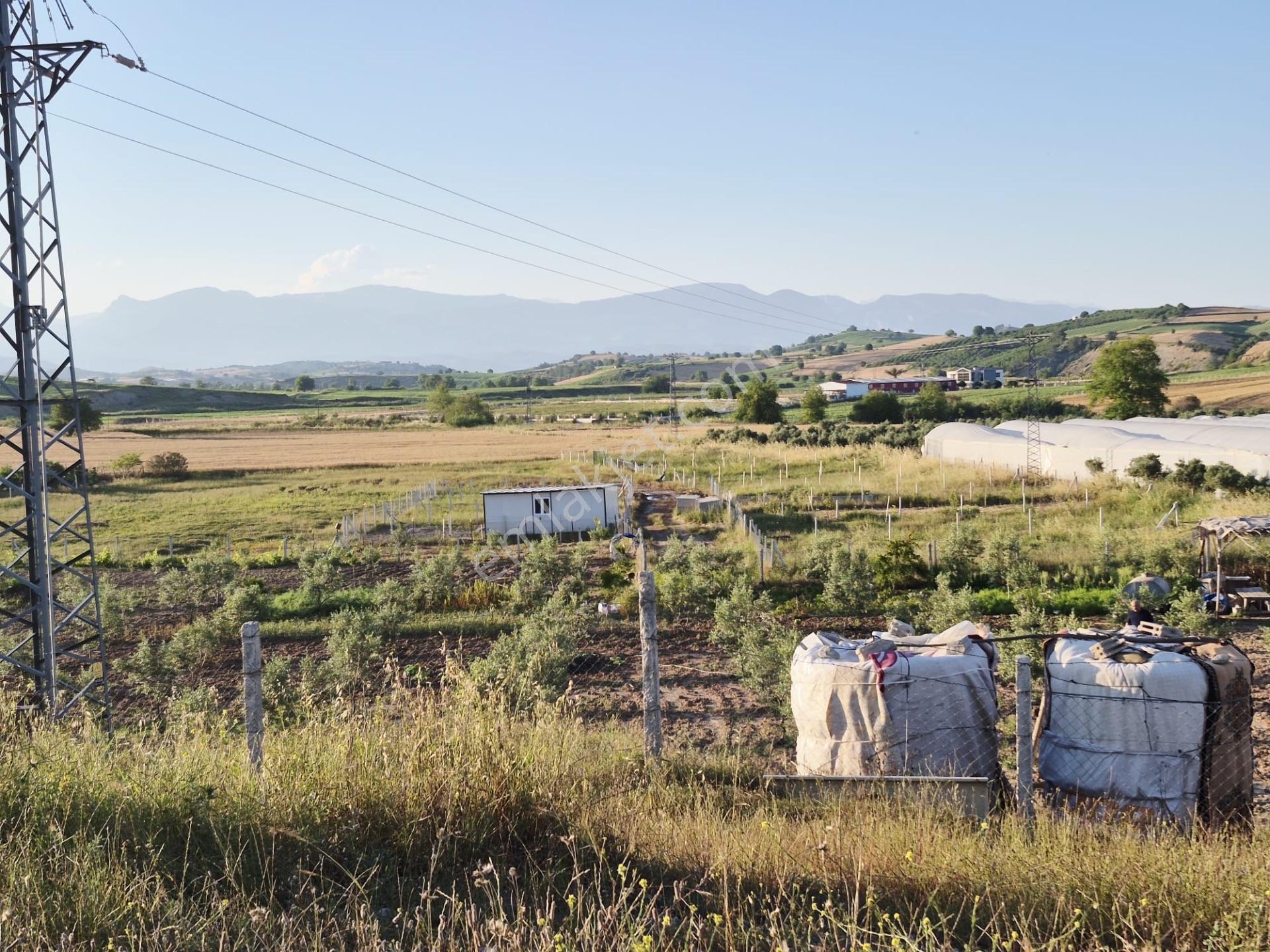 Salbaş Kuzgunda Etrafı Çevrili Sıyu İçinde 190 M2 Arsa Cazip Fiyat Yatırımlık — fotoğraf 27