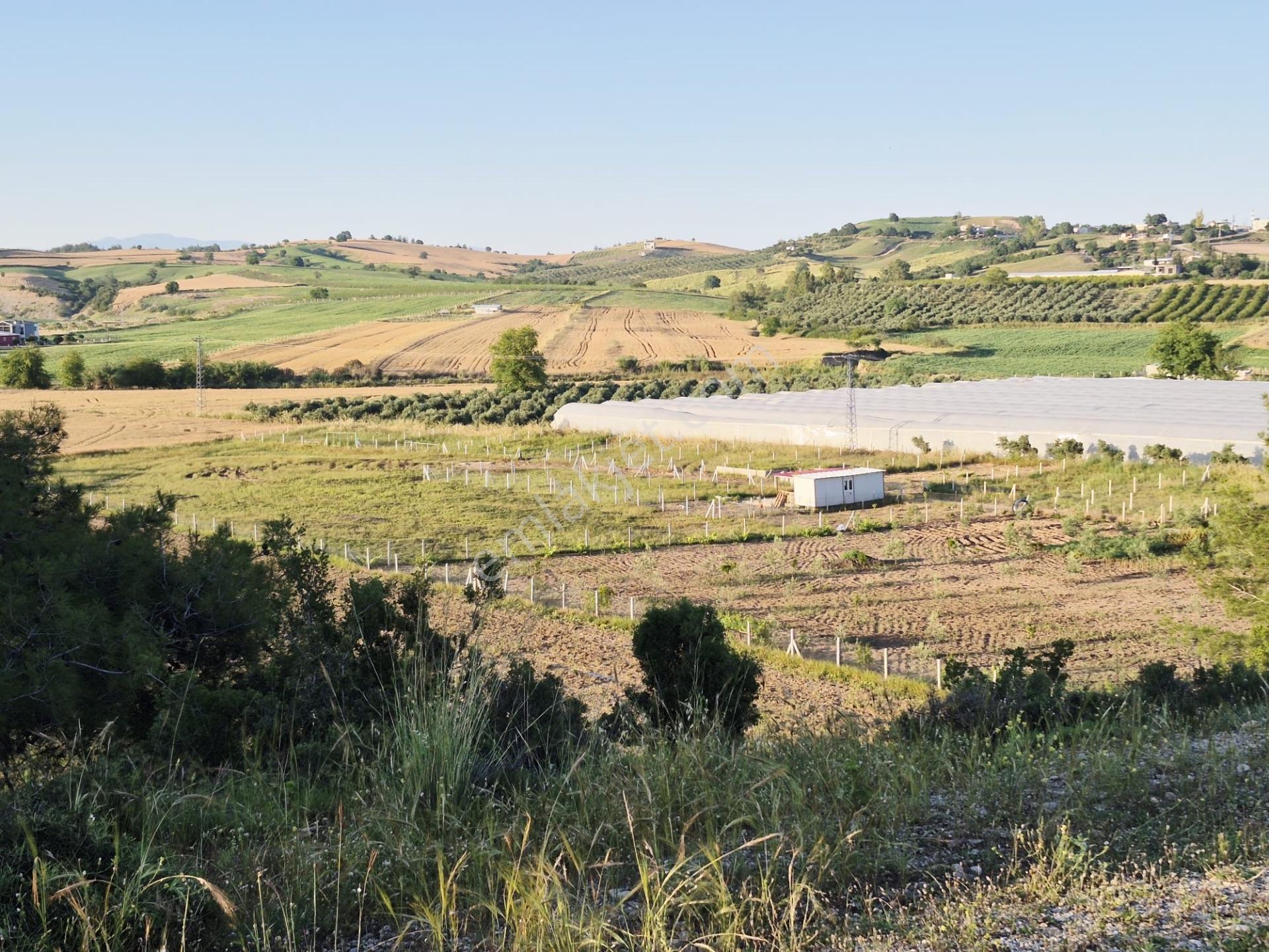 Salbaş Kuzgunda Etrafı Çevrili Sıyu İçinde 190 M2 Arsa Cazip Fiyat Yatırımlık — fotoğraf 29