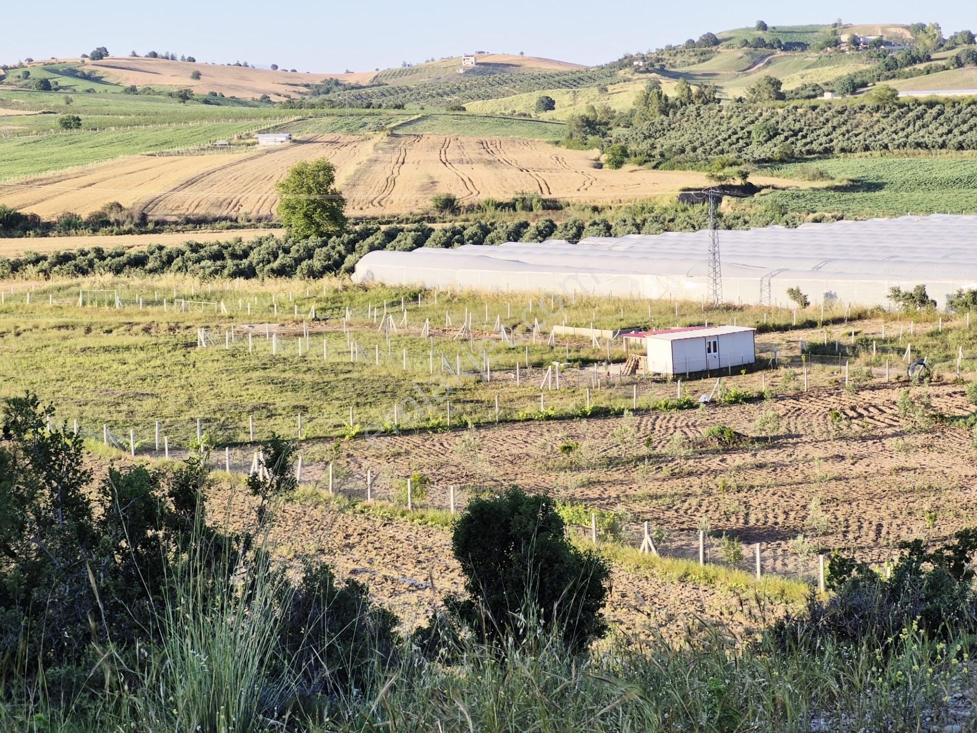 Salbaş Kuzgunda Etrafı Çevrili Sıyu İçinde 190 M2 Arsa Cazip Fiyat Yatırımlık — fotoğraf 32