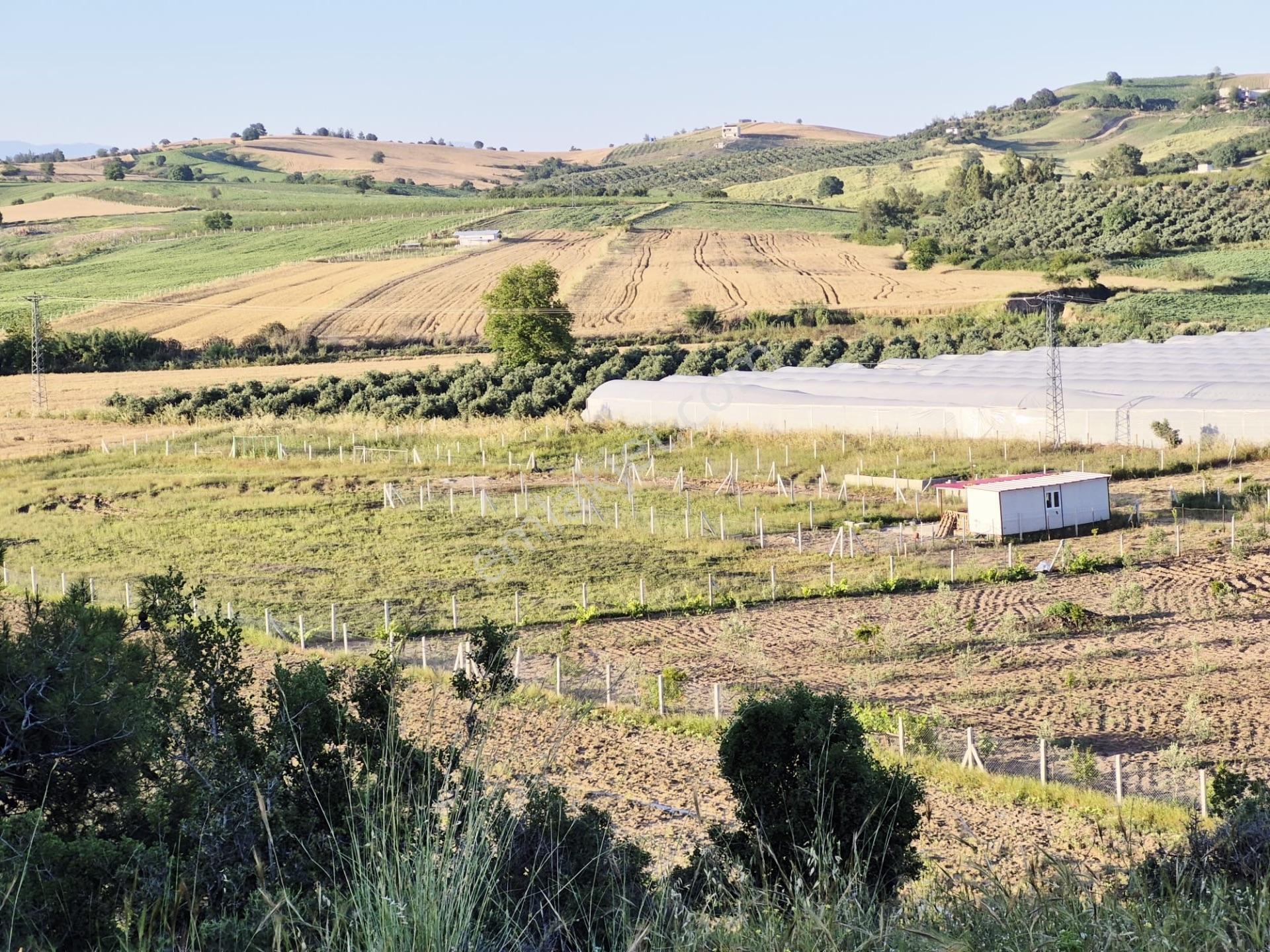 Salbaş Kuzgunda Etrafı Çevrili Sıyu İçinde 190 M2 Arsa Cazip Fiyat Yatırımlık — fotoğraf 33