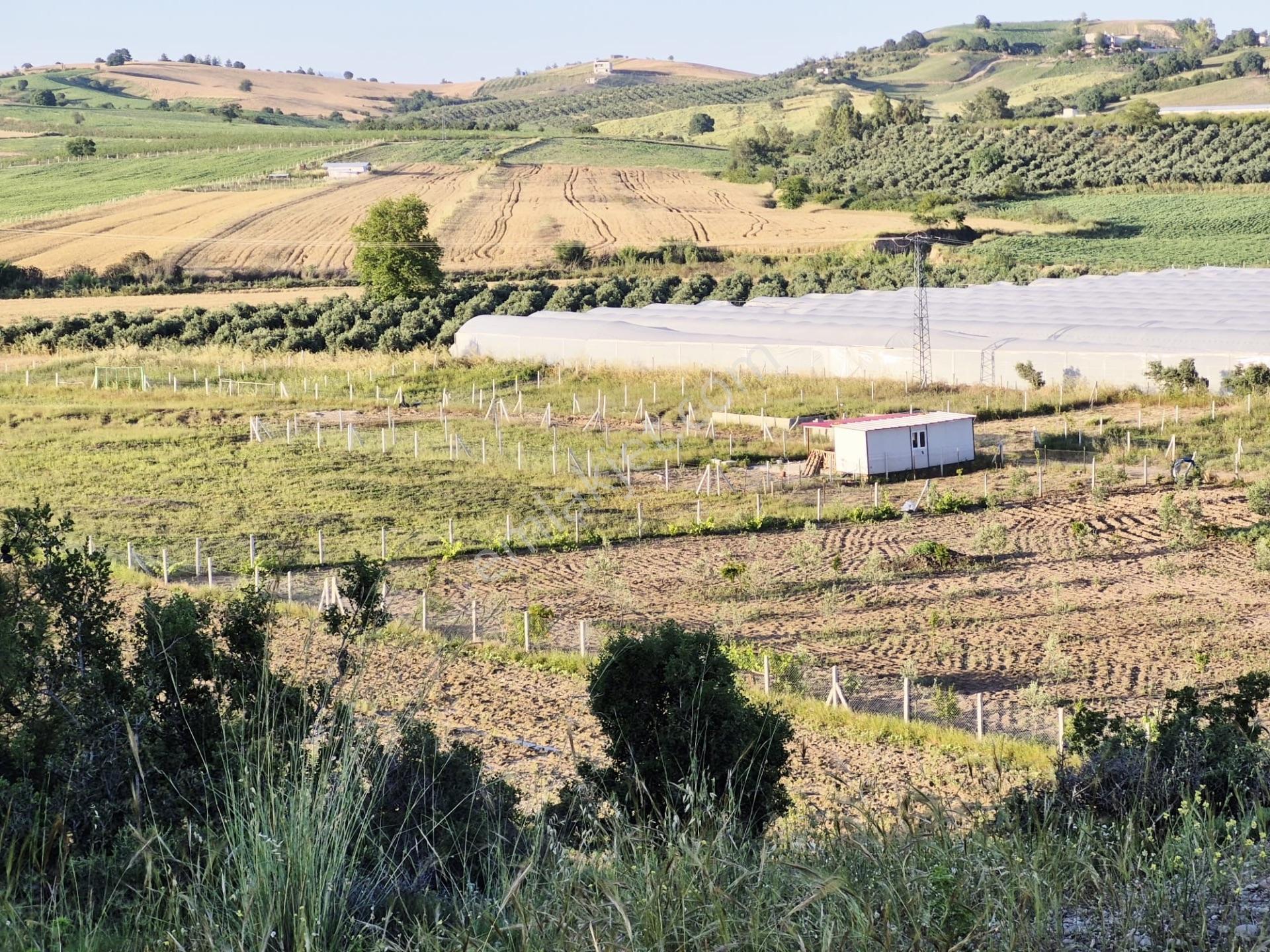 Salbaş Kuzgunda Etrafı Çevrili Sıyu İçinde 190 M2 Arsa Cazip Fiyat Yatırımlık — fotoğraf 34