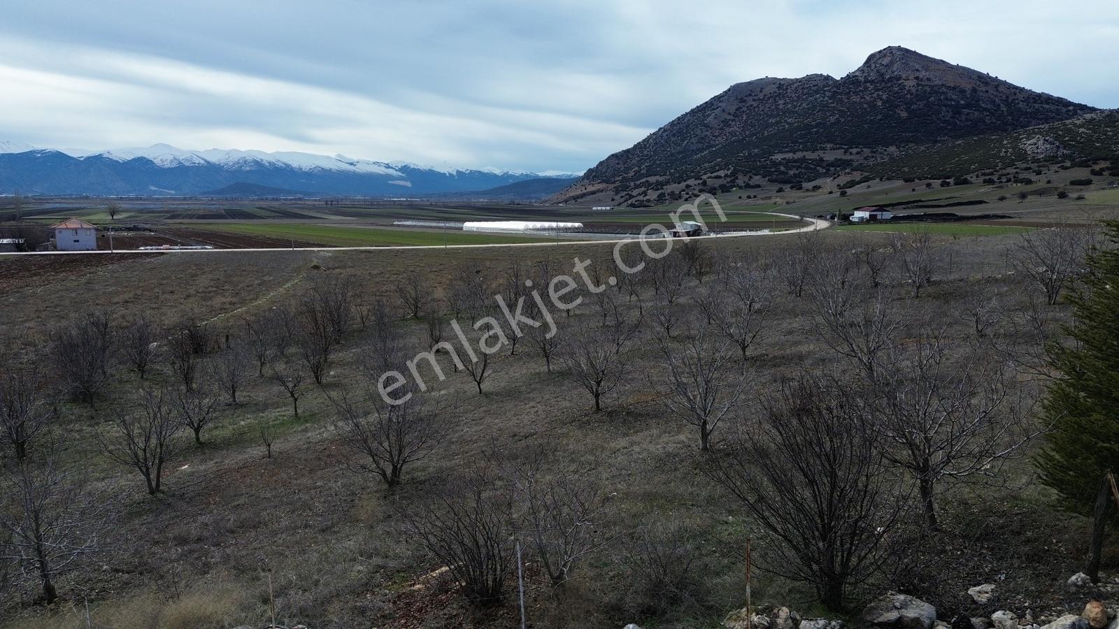 Vip Gayrimenkul'den Kışla Mah. 4.160m² Ceviz Bahçesi — fotoğraf 15