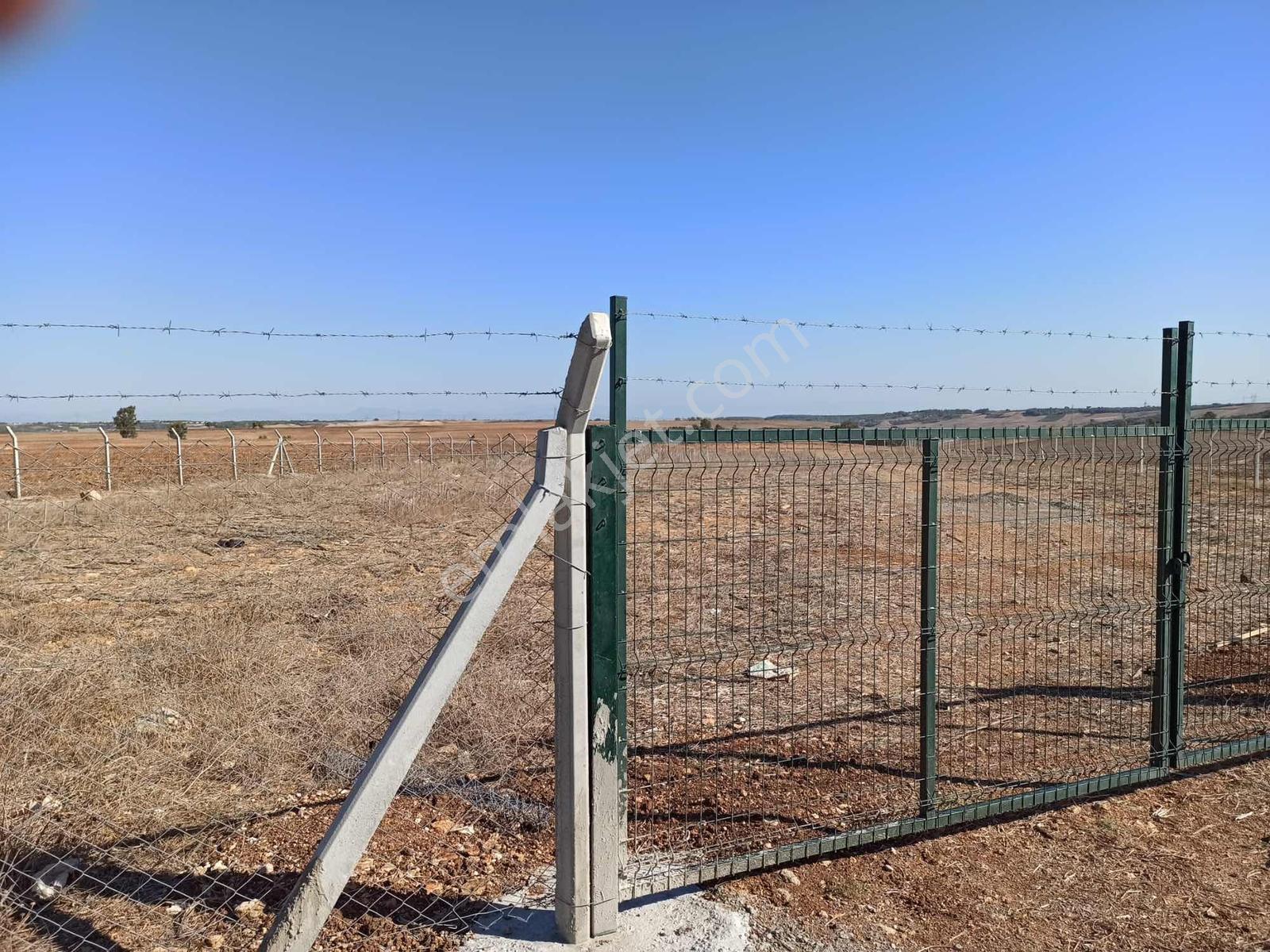 Cihadiye Köyünde 4.210 M2 Tek Tapu Telle Çevrili Tarla — fotoğraf 2