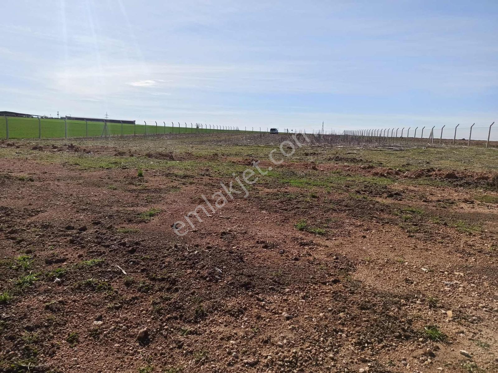 Cihadiye Köyünde 4.210 M2 Tek Tapu Telle Çevrili Tarla — fotoğraf 3