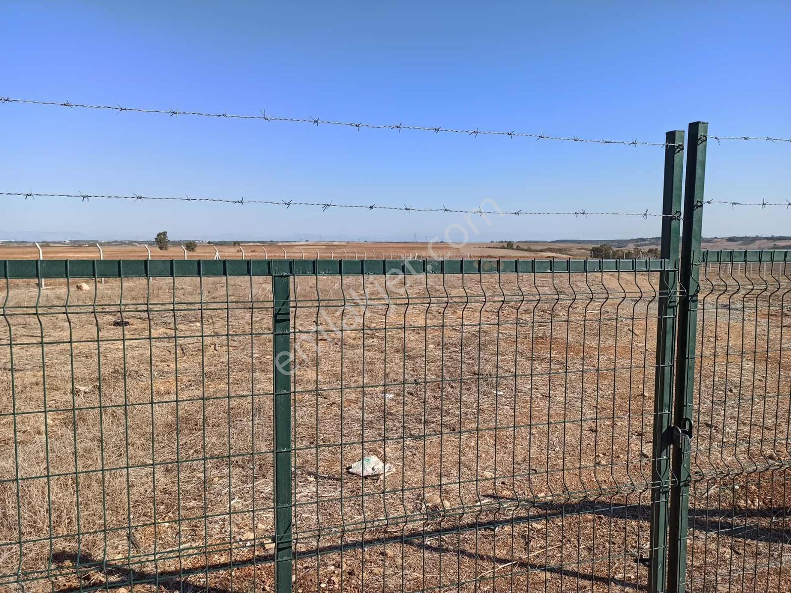 Cihadiye Köyünde 4.210 M2 Tek Tapu Telle Çevrili Tarla — fotoğraf 5