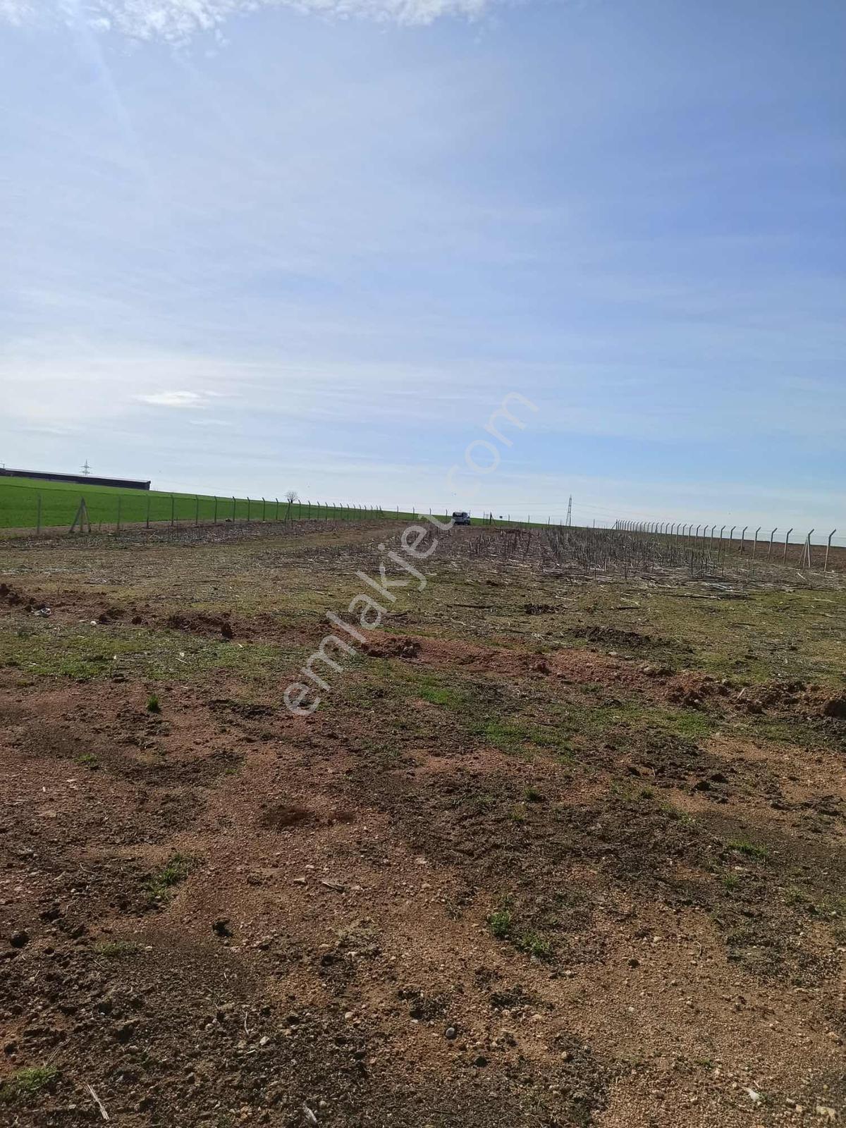 Cihadiye Köyünde 4.210 M2 Tek Tapu Telle Çevrili Tarla — fotoğraf 6