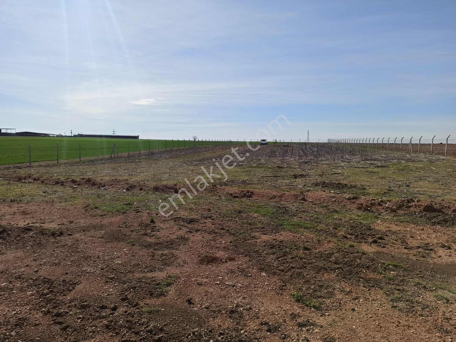 Cihadiye Köyünde 4.210 M2 Tek Tapu Telle Çevrili Tarla — fotoğraf 7