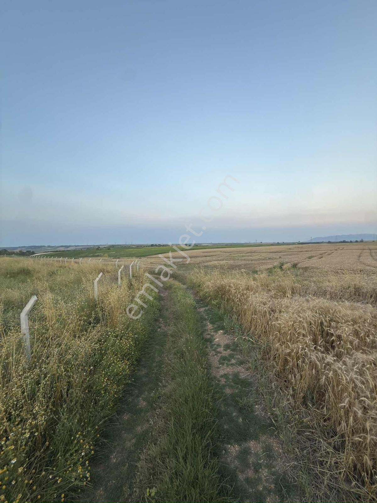 Cihadiye Köyünde 4.210 M2 Tek Tapu Telle Çevrili Tarla — fotoğraf 9