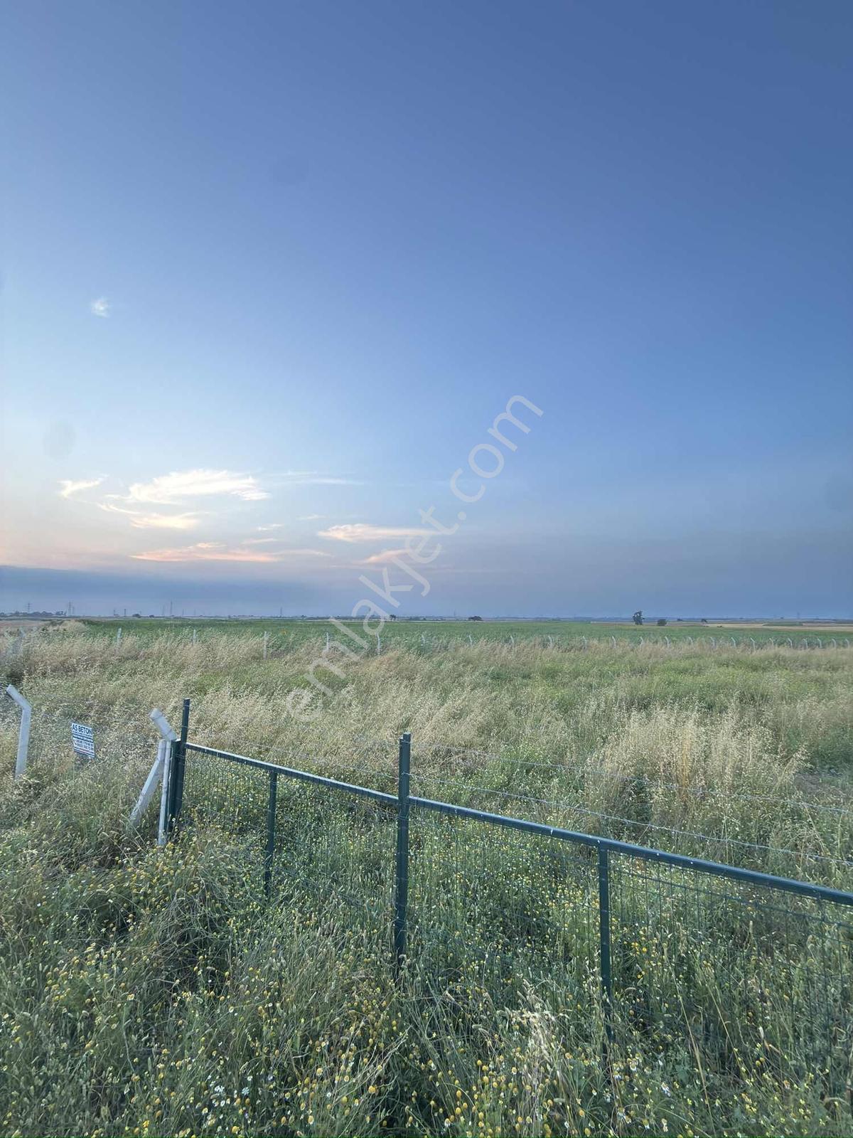 Cihadiye Köyünde 4.210 M2 Tek Tapu Telle Çevrili Tarla — fotoğraf 11