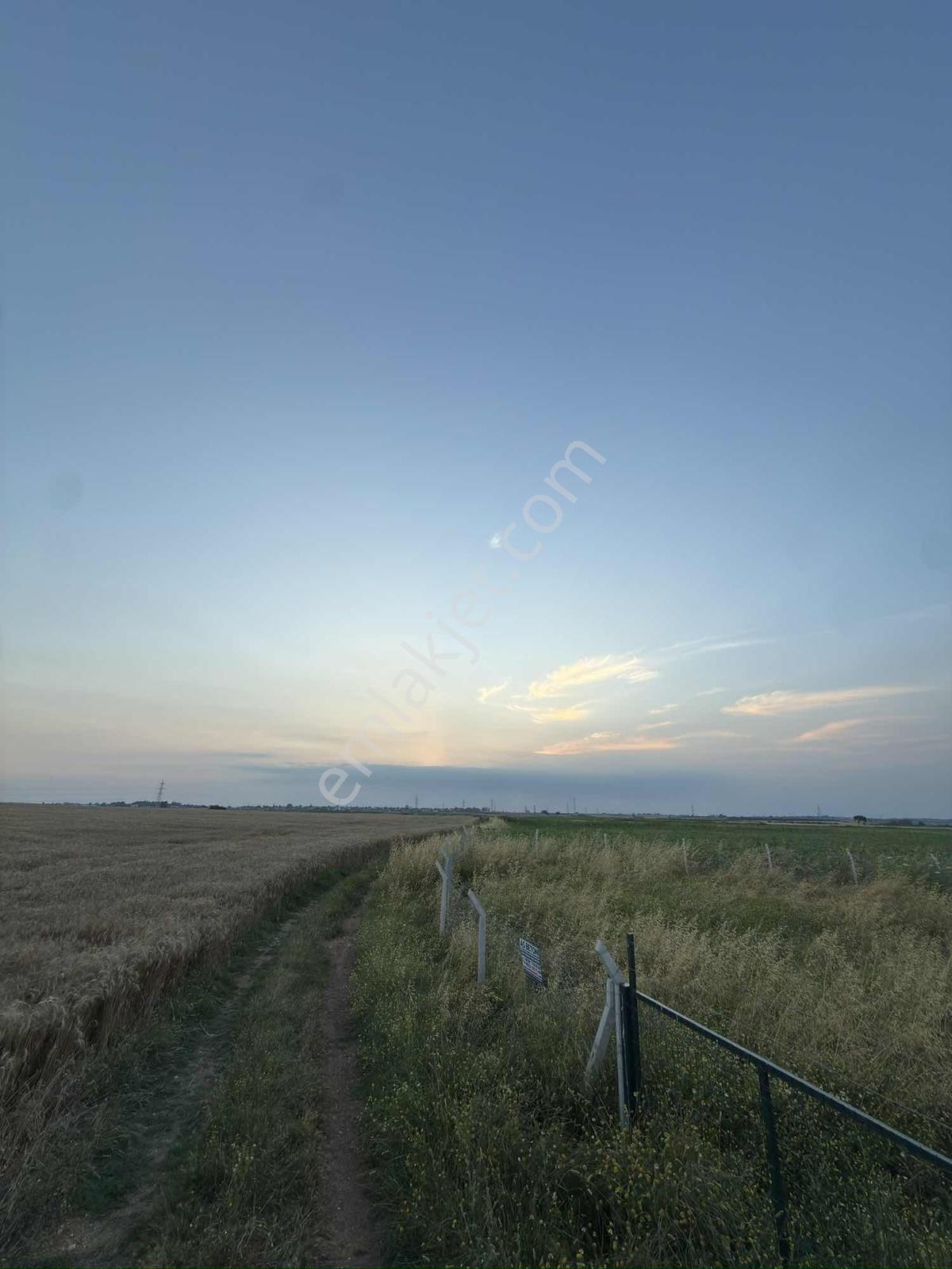 Cihadiye Köyünde 4.210 M2 Tek Tapu Telle Çevrili Tarla — fotoğraf 12