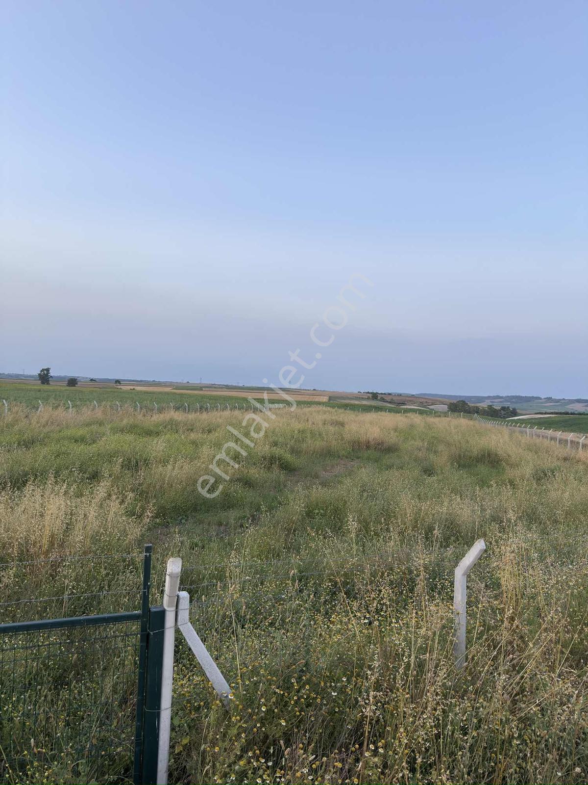 Cihadiye Köyünde 4.210 M2 Tek Tapu Telle Çevrili Tarla — fotoğraf 13