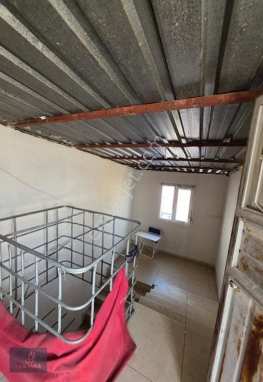 ~ana Cadde Üzerinde 150 M2 Dükkan, 160 M2 Ev~ — fotoğraf 12