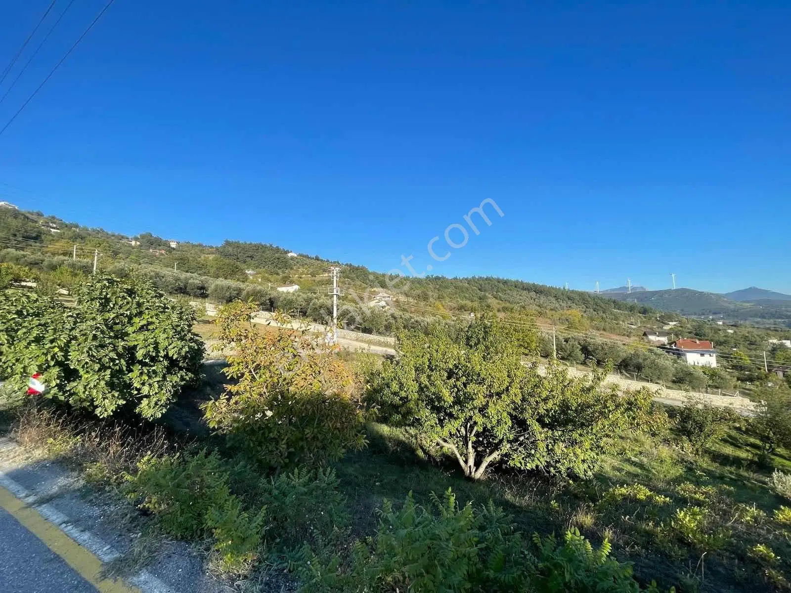 Sakarya Geyve Köprübaşı'Nda Satılık 2.479 M² Köy İçi Arsa