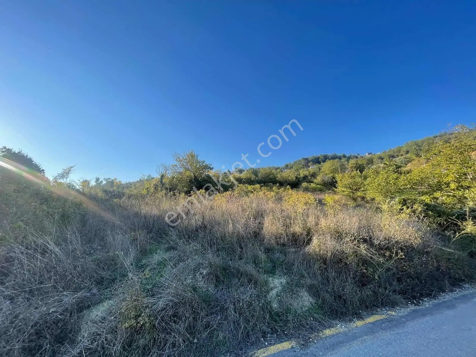 Sakarya Geyve Köprübaşı'nda Satılık 2.479 M² Köy İçi Arsa — fotoğraf 3
