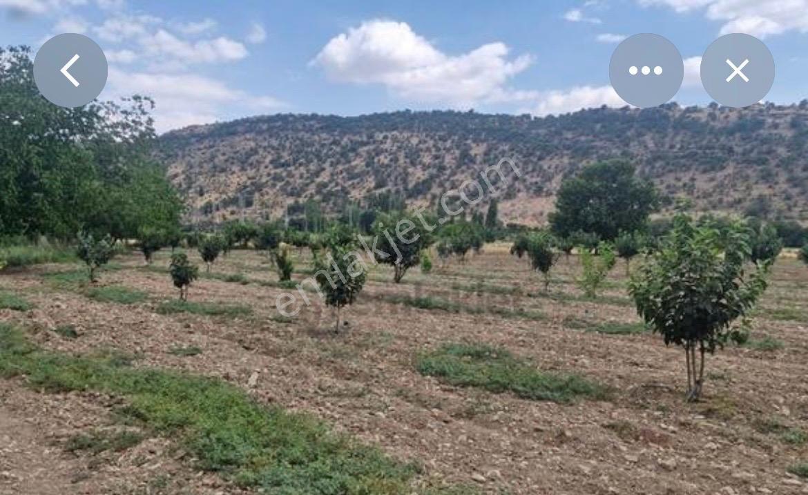 Gül Emlak'tan Gölbaşı Bezirhane 226mt Satılık Arsa — fotoğraf 8