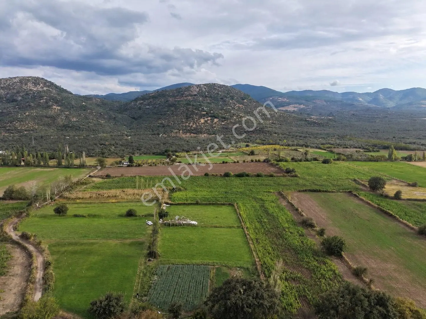 Mera Emlaktan Havran Büyükdere Köyü Müstakil T. 1.679m2 Tarla — fotoğraf 5