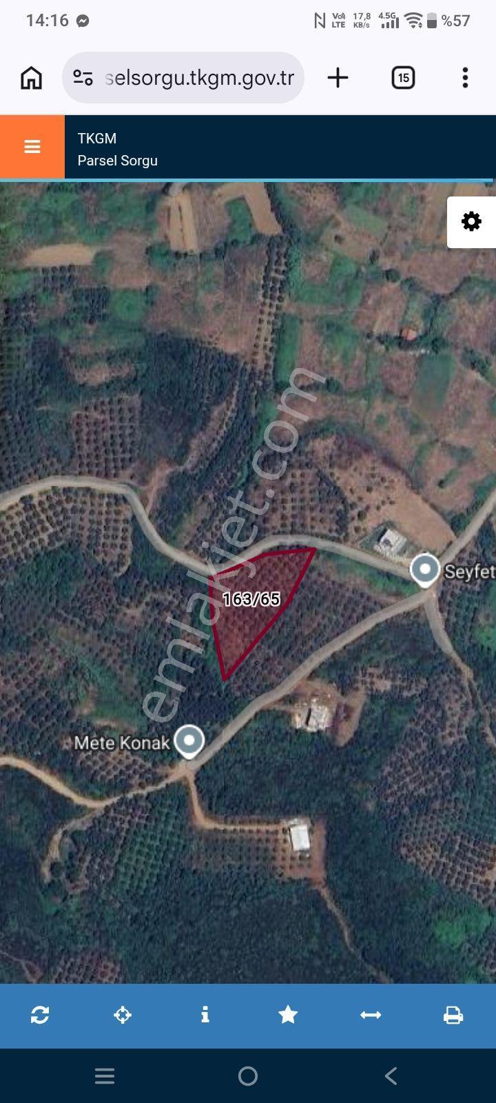 Ay Emlaktan Sahil Yenicede 3283 M Daire Takasli Zeytinlik