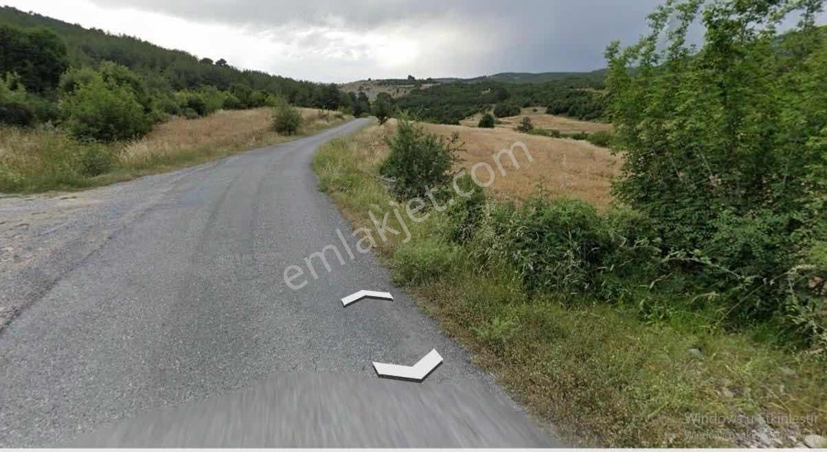 Ra Gayrmenkul Çokak Köyü Kümes Hayvancılığına Uygun Arazi — fotoğraf 2