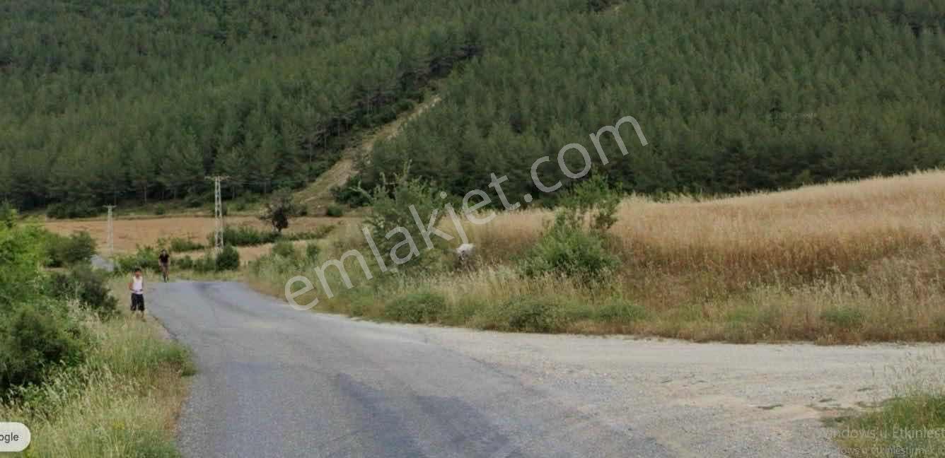 Ra Gayrmenkul Çokak Köyü Kümes Hayvancılığına Uygun Arazi — fotoğraf 4