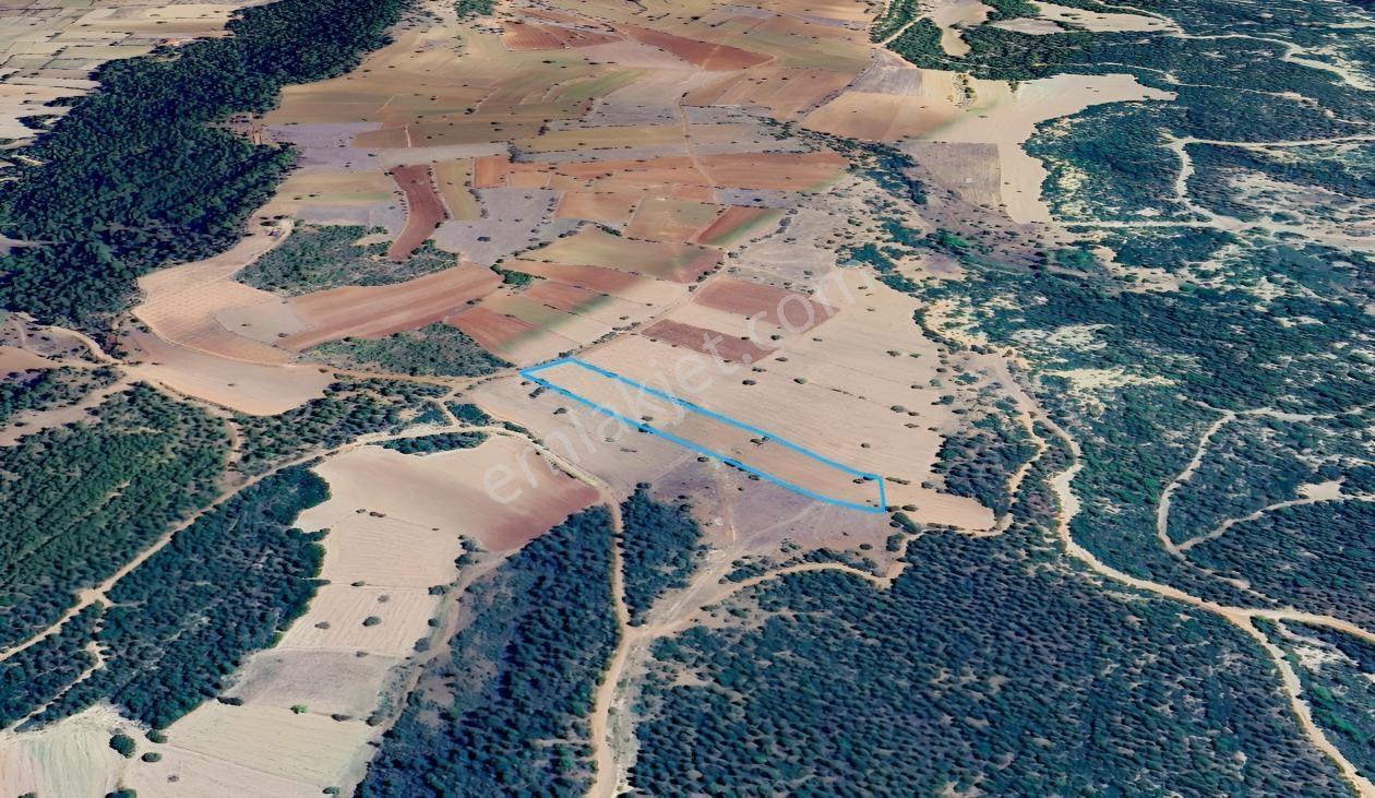 Denizli Tavas Pınarlıkta Satılık 6467 M2 Tarla — fotoğraf 2