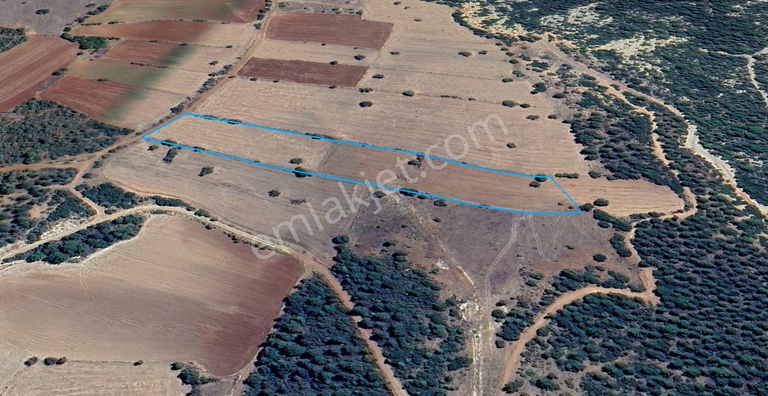 Denizli Tavas Pınarlıkta Satılık 6467 M2 Tarla — fotoğraf 3