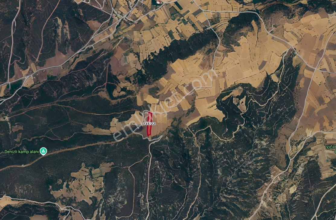 Denizli Tavas Pınarlıkta Satılık 6467 M2 Tarla — fotoğraf 4