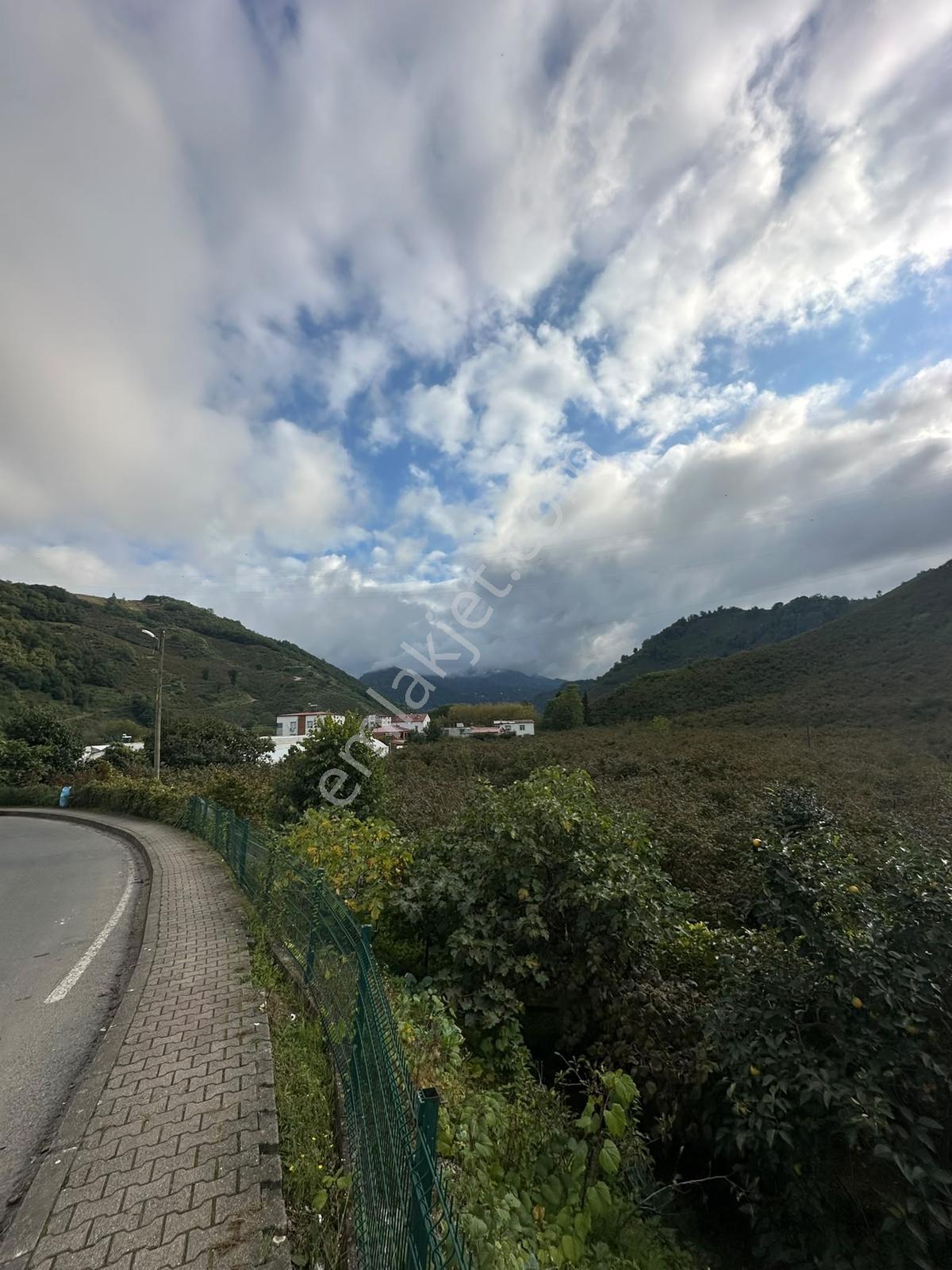 Ordu Hekimoğlu'ndan Gülyalı Turnasuyunda Satılık Arsa — fotoğraf 4