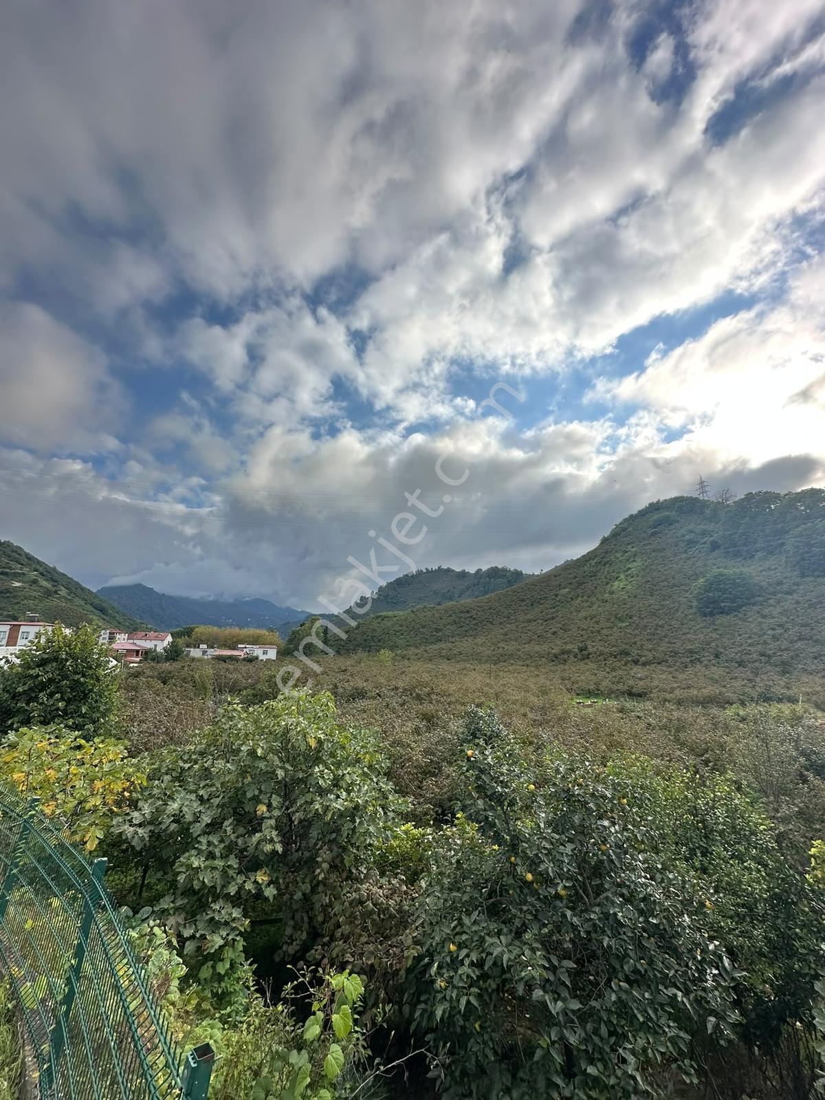 Ordu Hekimoğlu'ndan Gülyalı Turnasuyunda Satılık Arsa — fotoğraf 6