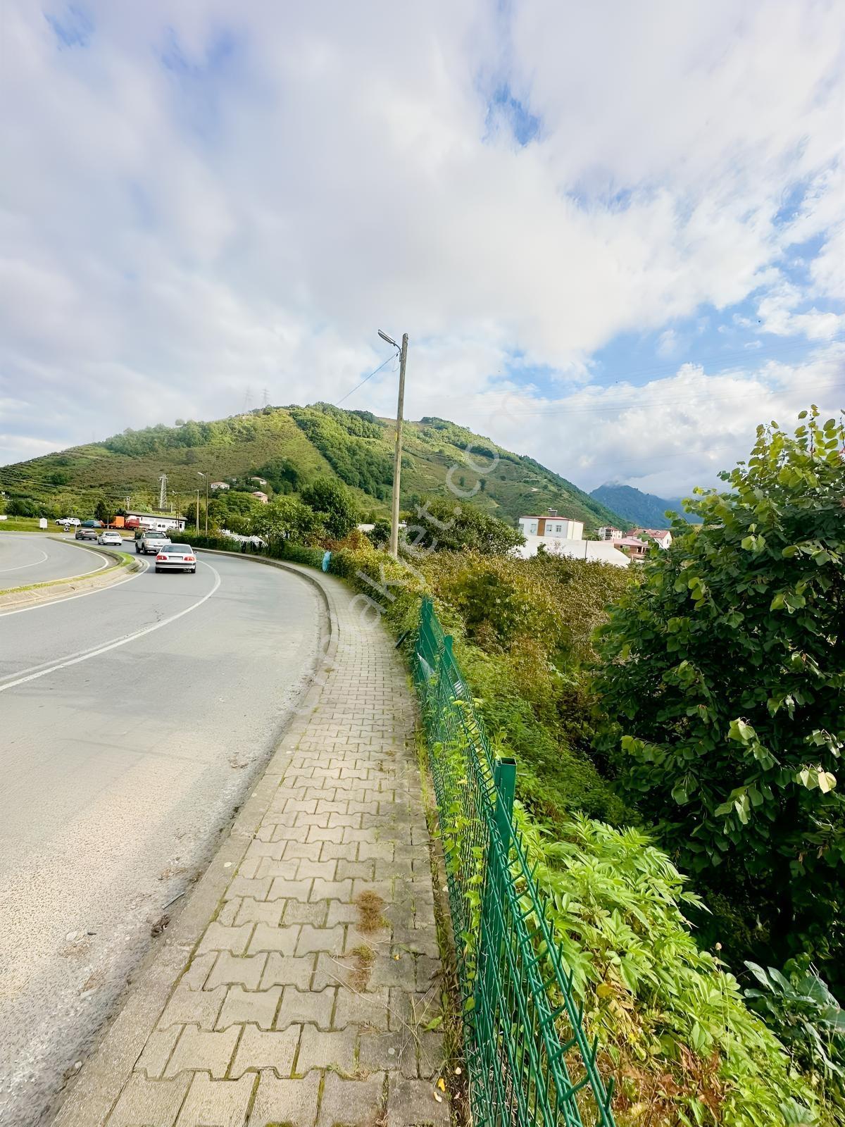 Ordu Hekimoğlu'ndan Gülyalı Turnasuyunda Satılık Arsa — fotoğraf 7
