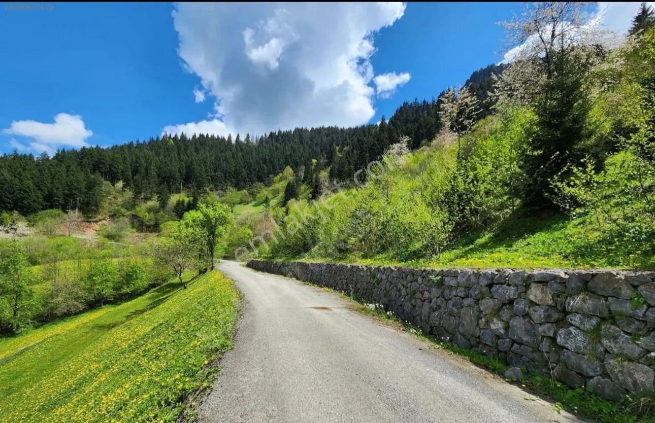 Maçka Dikkaya'Da Doğa Manzaralı 4828 M² Satılık Arsa